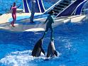 Sea World-160